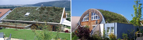 архитект зелен покрив
